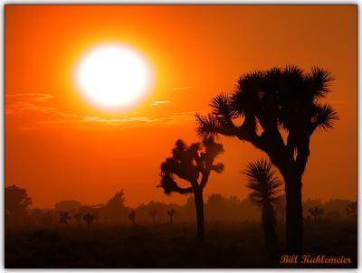 Huge Sun with whispy Clouds