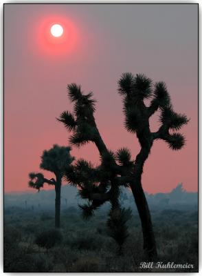 Smokey Desert Sunset