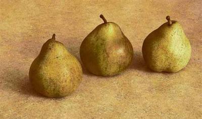 David Warren: Antique Gold Pears