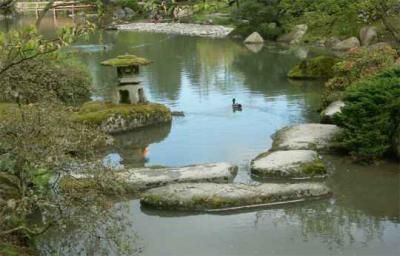 Don Cooper: Tranquil Pond