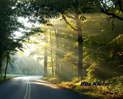 Sunrise on Road Early Autumn.jpg