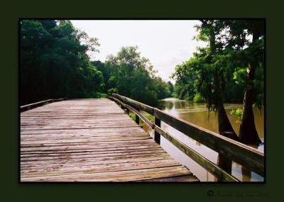 Down the Bridge