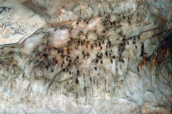 Exploring a cave by Sea Canoe, Ko Phanak, Phang Nga Bay