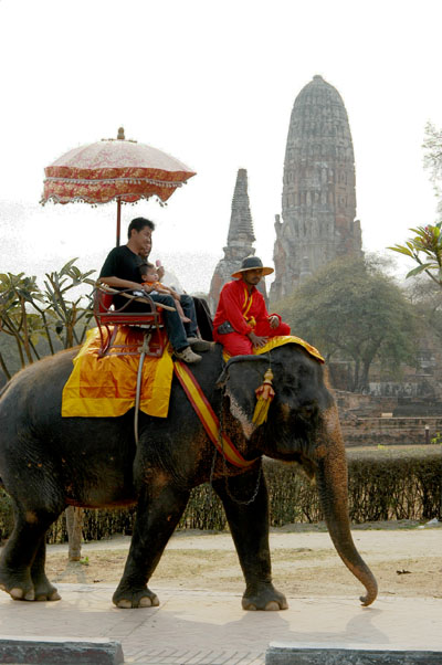 Elephant tour by Wat Ratchaburana