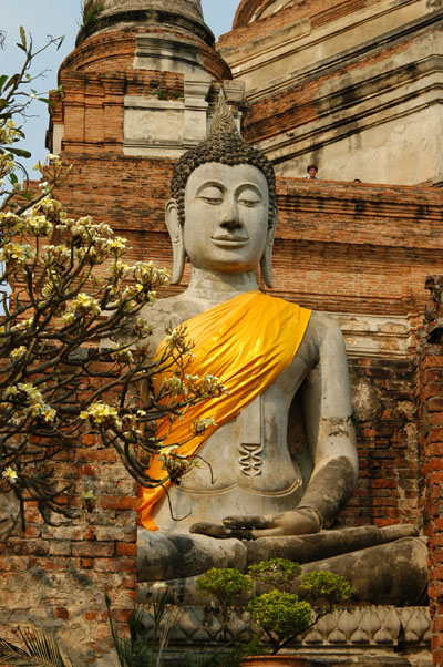 Wat Yai Chai Mongkon