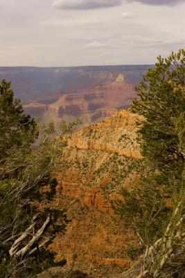 u26/bob1grady/medium/43707849.GrandCanyon06210505s.jpg