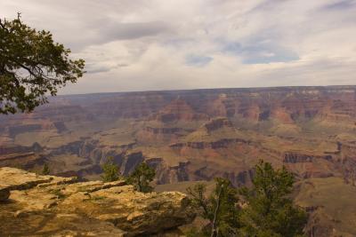 Grand Canyon 12