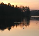 Sunrise at Stone Mountain Lake (a reflection)