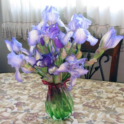 Iris from St. John's United Church of Christ - May 22, 2005