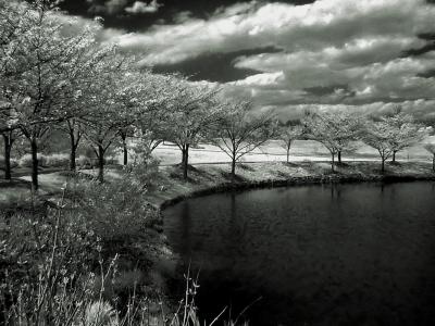 IMG_0073.jpg