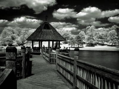Infrared Pictures
