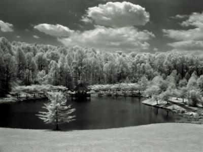 IMG_9880.JPG