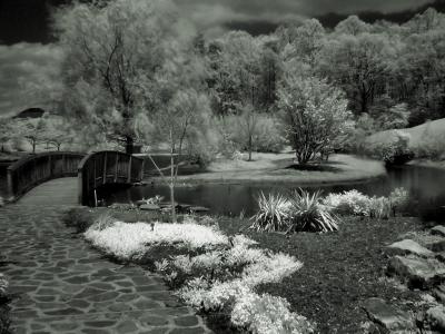 IMG_9898.jpg