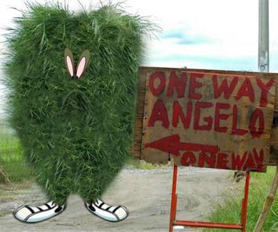 20040725gossamer.jpg