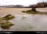 St.Malo