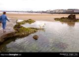 St.Malo
