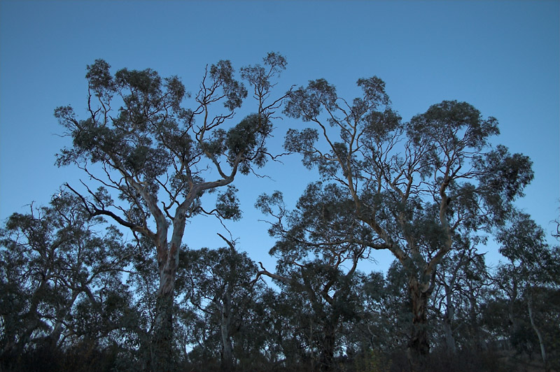 evening, Kalkite