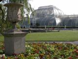 Palm House at Kew