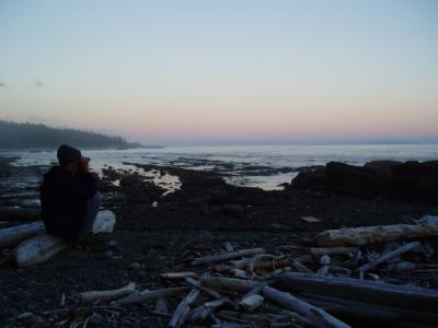 u26/briansolar1/medium/31708893.westcoasttraillookingforwhales.jpg