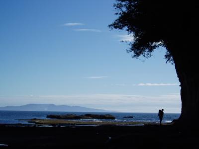 u26/briansolar1/medium/31743997.westcoasttrailcoastalrockyshelf.jpg