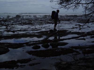 u26/briansolar1/medium/31744544.westcoasttrailontherockytidalshelf.jpg