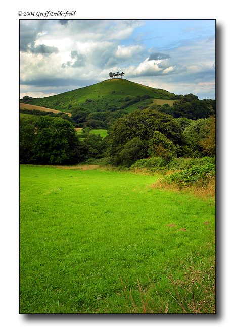 four trees on a hill 2 copy.jpg