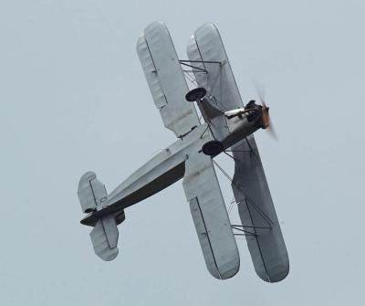 _DSC2299-01.jpg