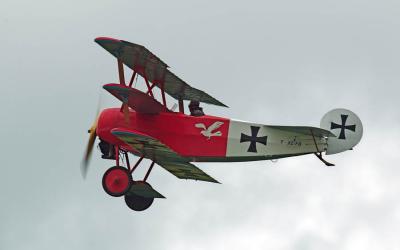 _DSC2313-01.jpg