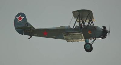_DSC2488-01.jpg