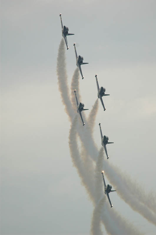 _DSC2778-01.jpg