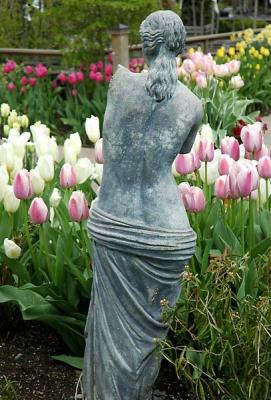 Tulips 2005