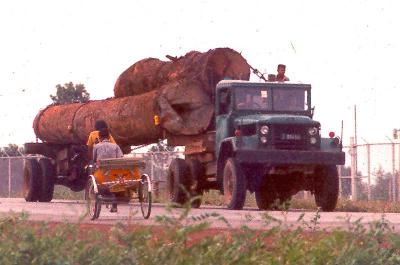 Log-Truck3.jpg