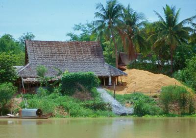Rice-Mill2.jpg