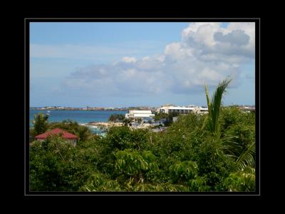 Terrace View