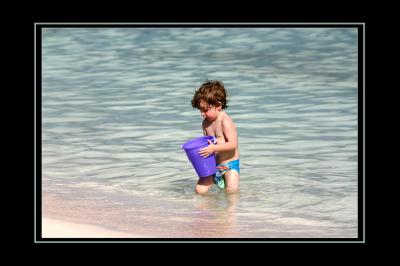 The Purple Pail