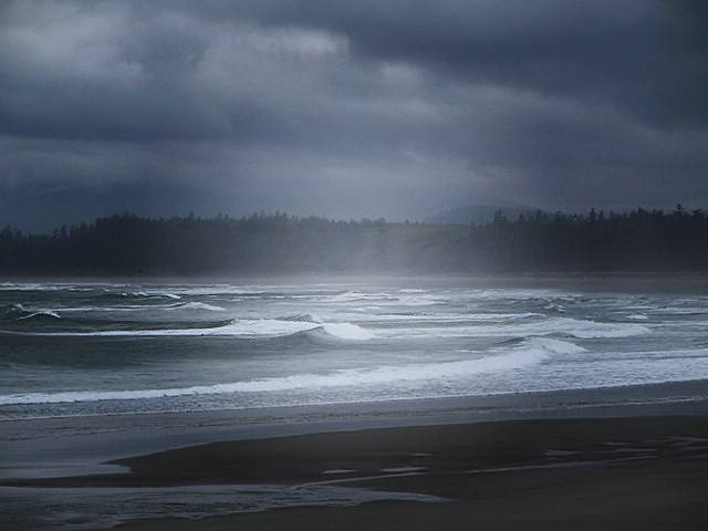 Natures Moods