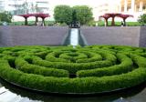 Central Garden