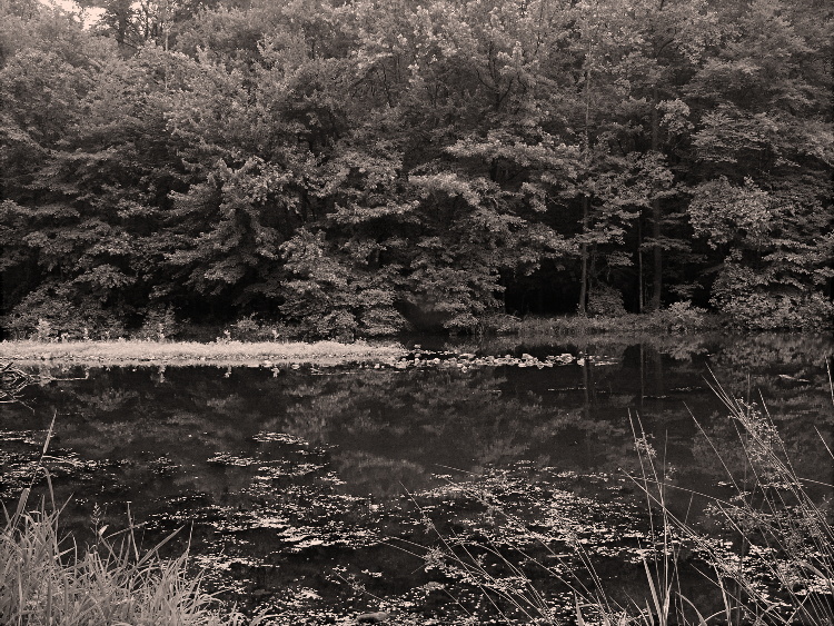 Reservoir Reflection