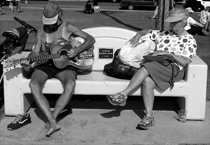 Bench Musician and Fan