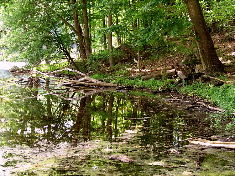 Ghost Lake - I