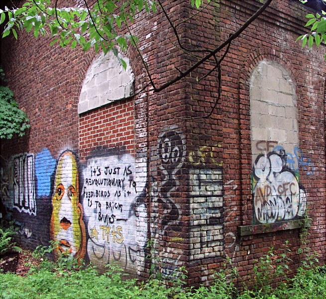 Graffiti In The Woods