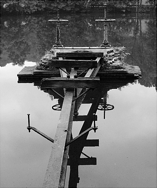 Dual Valves