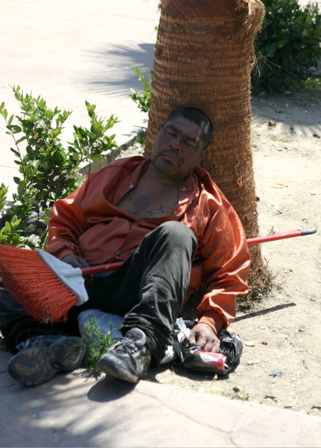 Siesta