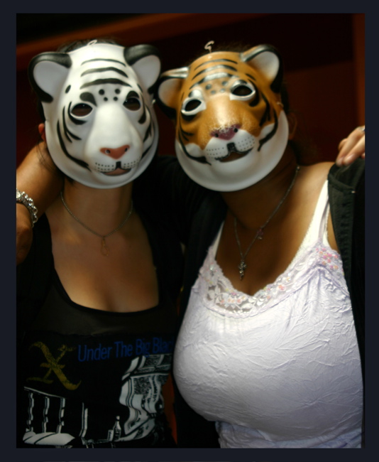 <b>At The Zoo</b>