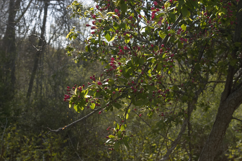 slt_wmswildlife_066.jpg