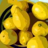 Lemons On A Plate 1