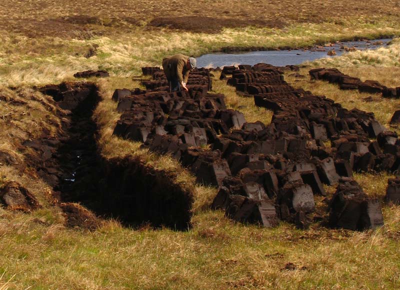 Cutting Peat