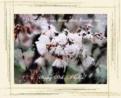 Happy-Birthday-Phyllis.jpg