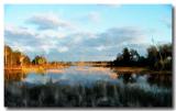 Michigan-Marsh.jpg