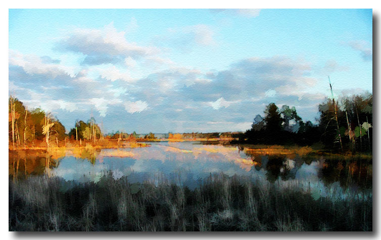 Michigan-Marsh.jpg